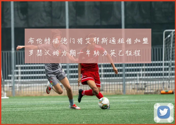 布伦特福德门将艾耶斯通租借加盟罗瑟汉姆为期一年助力英乙征程