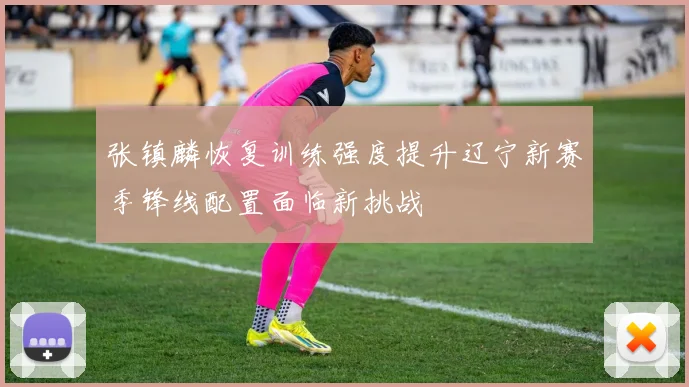 张镇麟恢复训练强度提升辽宁新赛季锋线配置面临新挑战